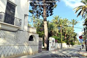 19 ELCHE HUERTO DEL CURA (2)